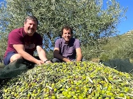 Olive Oil tour Peloponnesos
