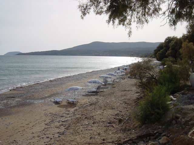 koroni3.jpg