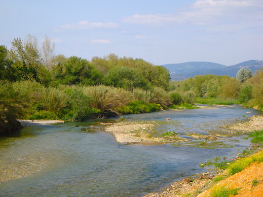 Eurotas River, Sparta