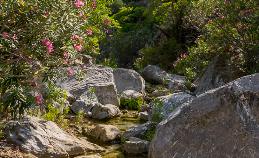 Chrysorroas Canyon, Troezon