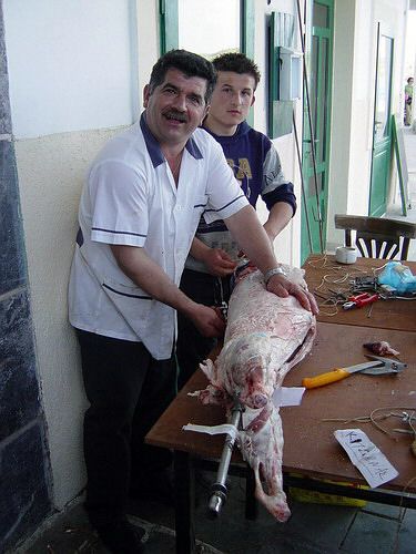 easter-lamb2.jpg