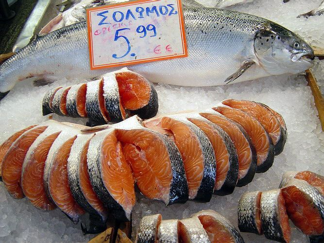 fish-salmon.jpg