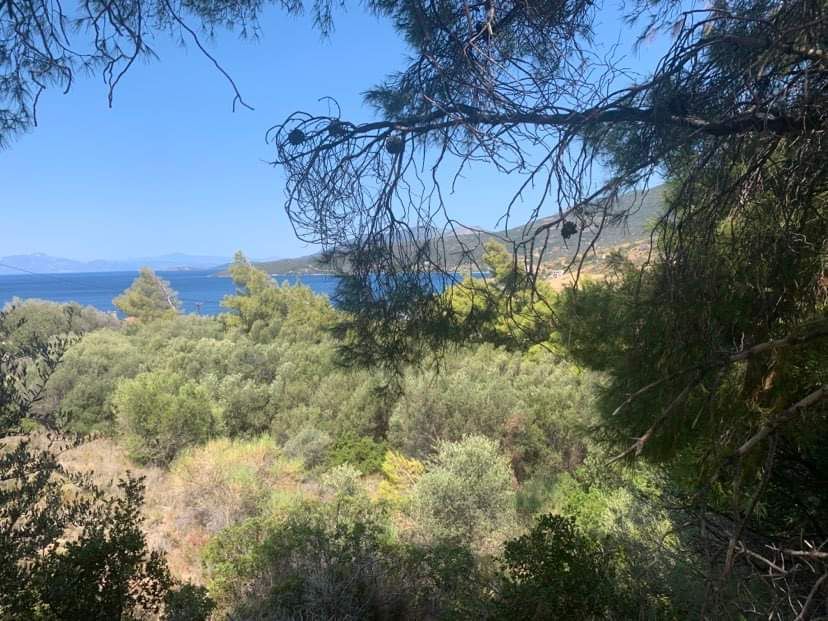 Land for sale evia