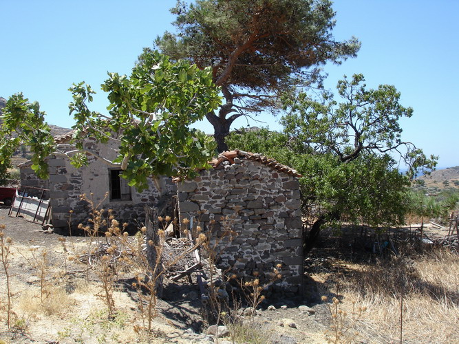 DSC03650.jpg