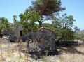 DSC03650.jpg