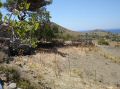DSC03656.jpg