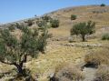 DSC03658.jpg