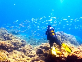 Rhodes Scuba Diving