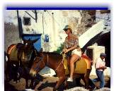 Santorini Eselreiten