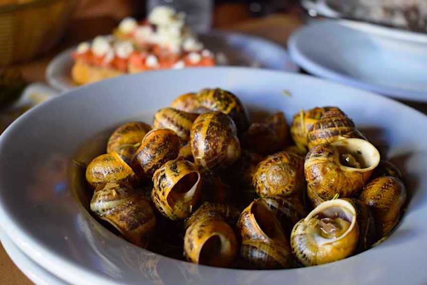 Crete snails