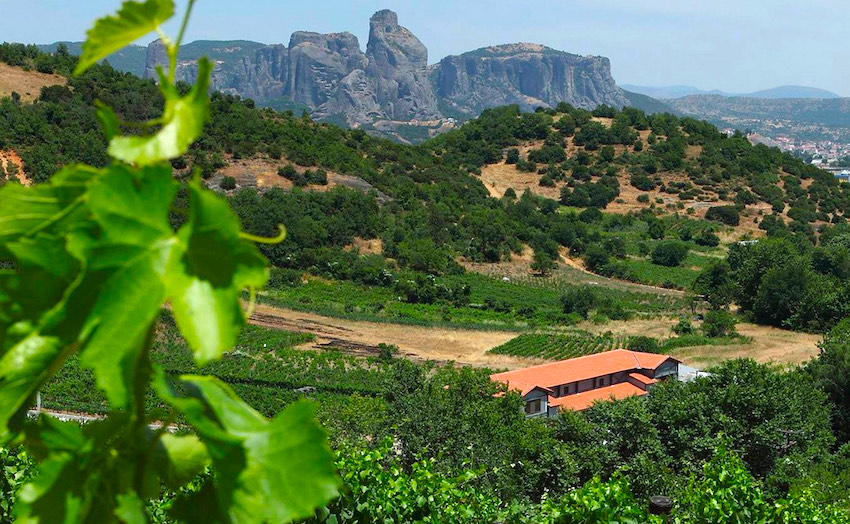 Meteora Winery Tour