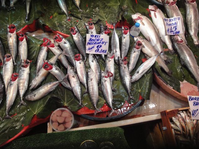 fishmarket1.jpg