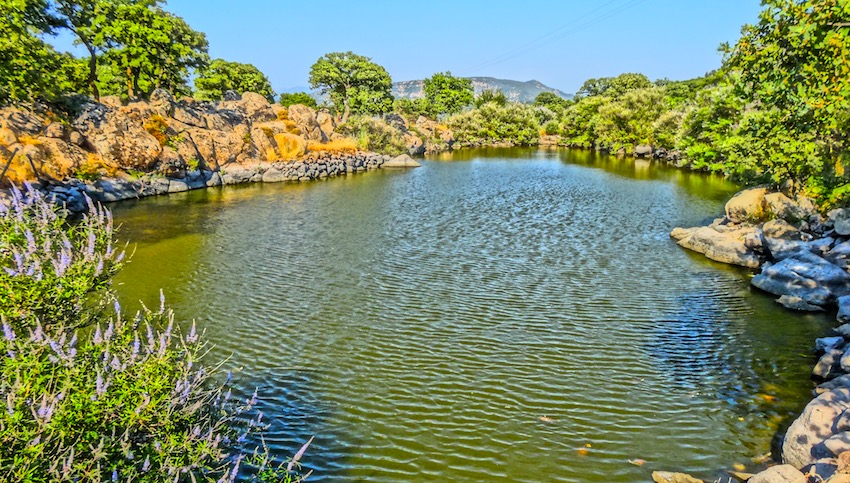 Skalahoti Turtle Pond